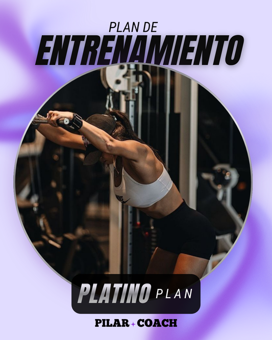 Plan de Entrenamiento PLATINO