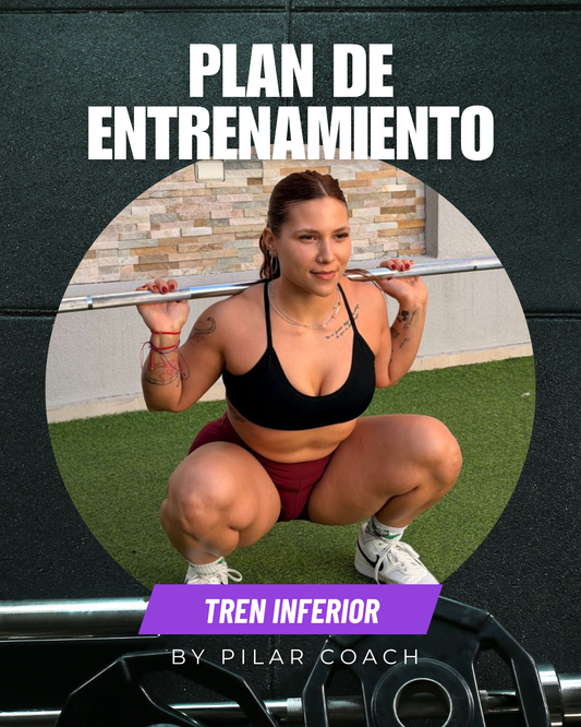 Planificacion Tren Inferior